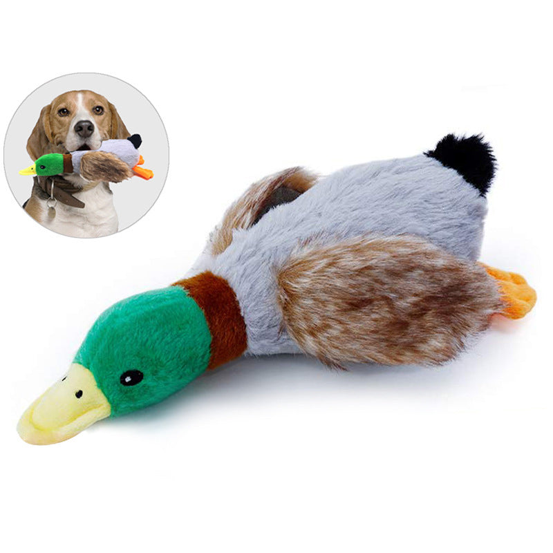 Plüsch-Ente für Hunde – 28 cm, Quietscher & Knisterpapier