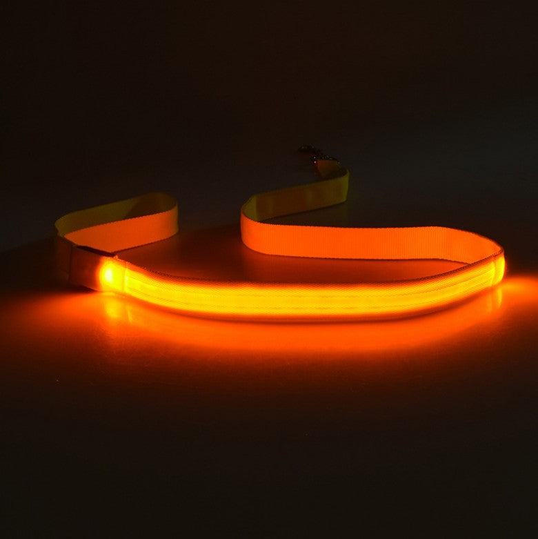 LED Hundeleine leuchtend | 120 cm Nylon | 8 Farben | Aufladbar oder Batterie