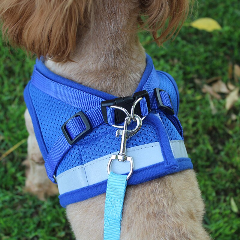Reflektierendes Hundegeschirr & Leine Set – Sicherheitsweste, XS–XL, 4 Farben