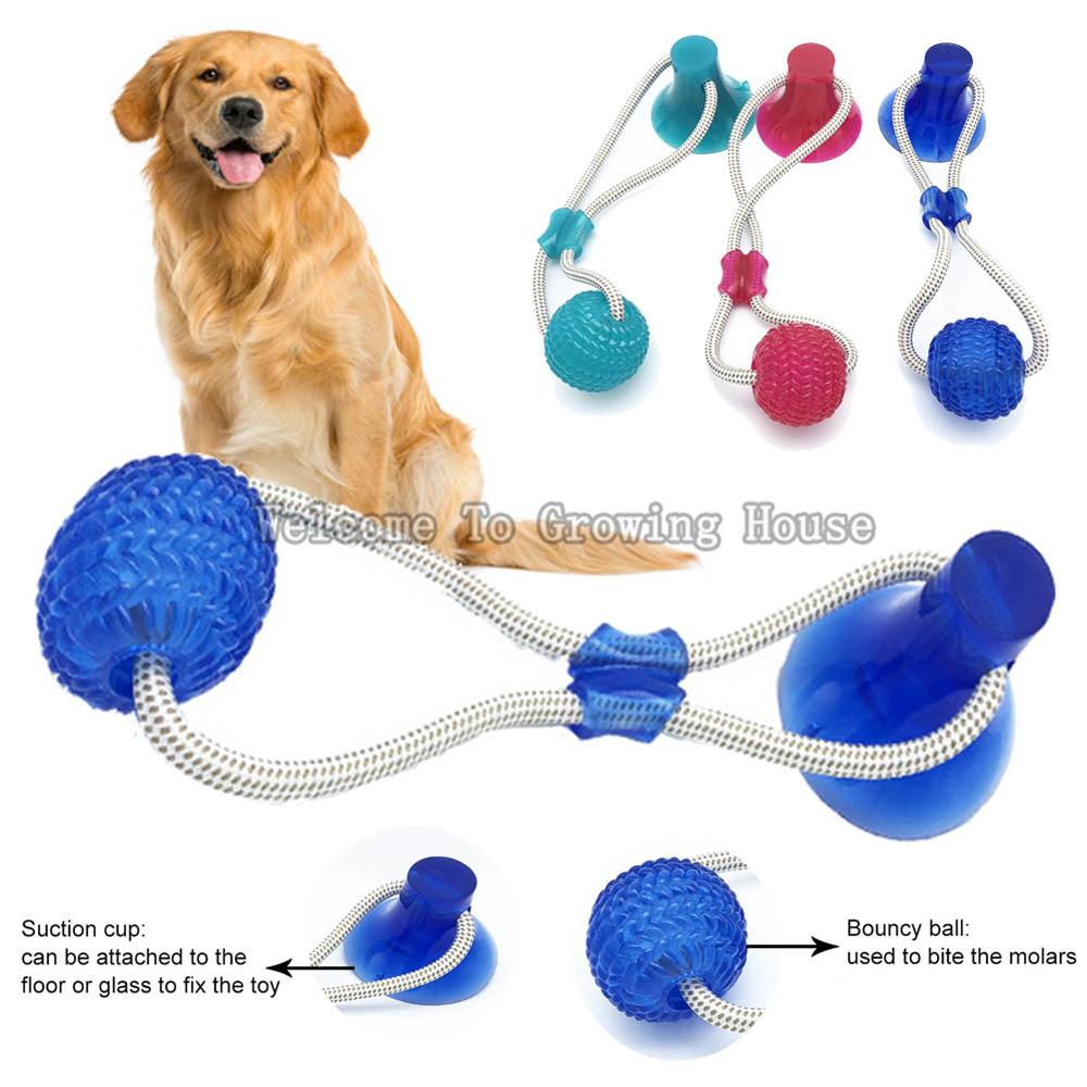 Saugnapf-Kauspielzeug mit TPR-Ball – interaktiv, Zahnreinigung, 3 Farben, 40×10cm