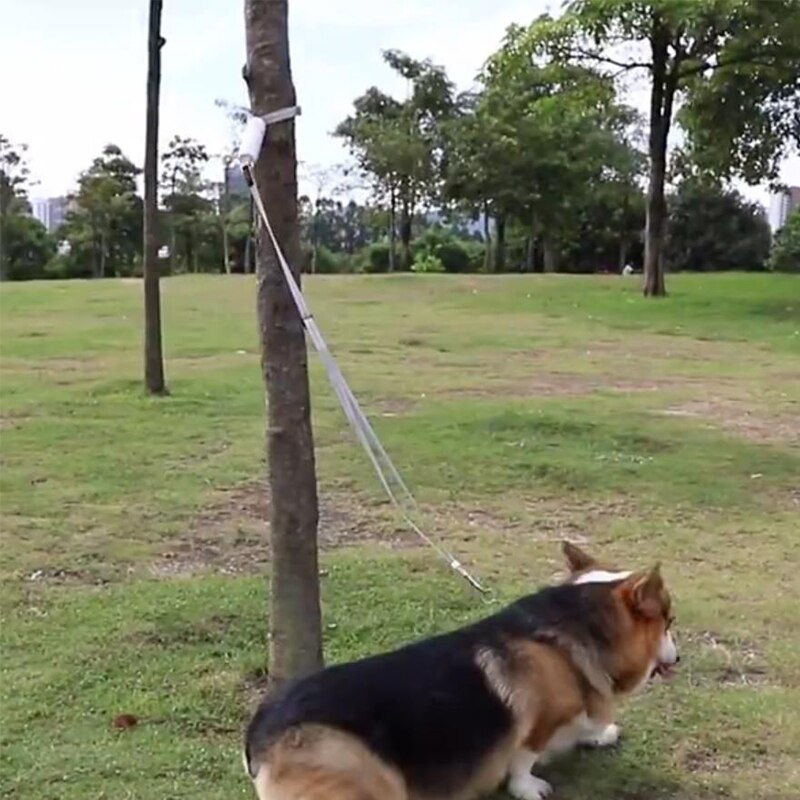 Reflektierende Hundeleine elastisch – verstellbar 95-160 cm, für Hunde bis 30 kg, Weiß & Gelb