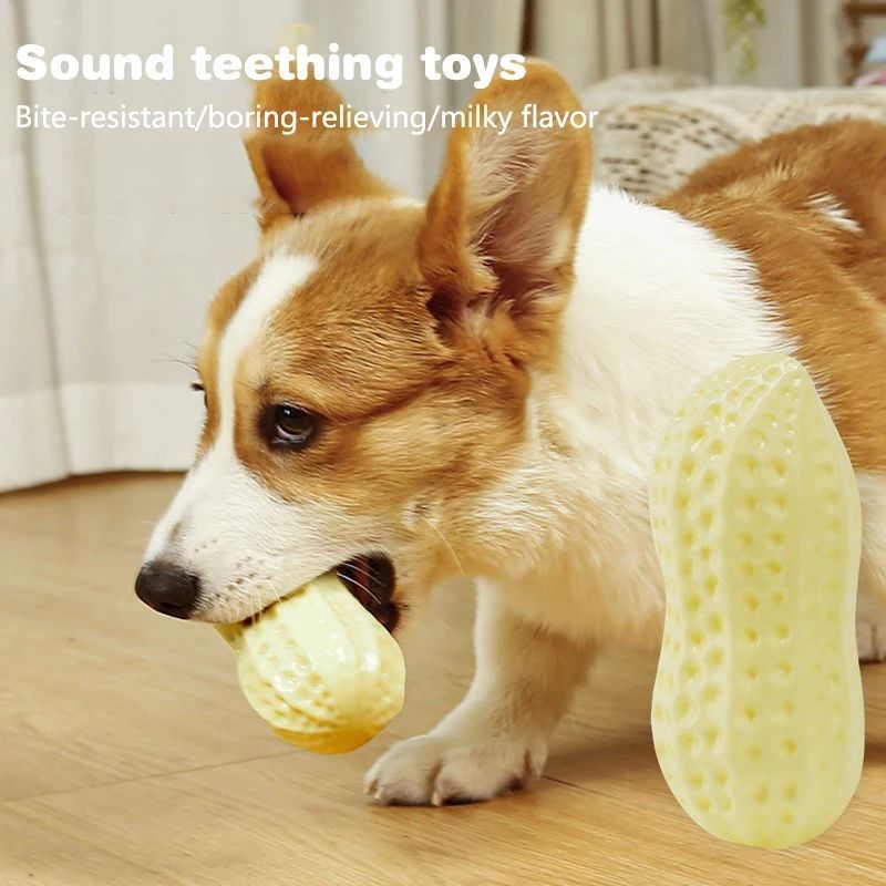Elastisches Vinyl-Quietschspielzeug für kleine Hunde – Zahnpflege & Anti-Langeweile