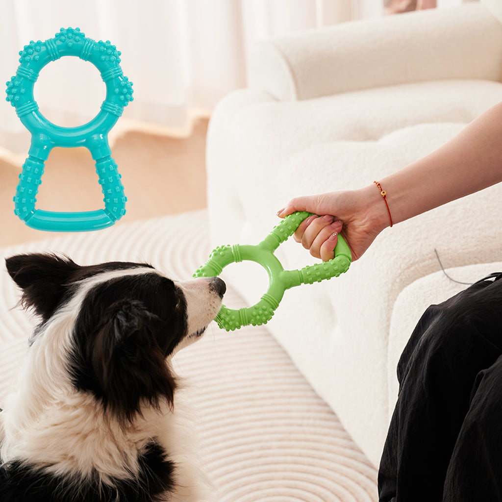 Interaktiver Zugring für Hunde – Tauziehen & Zahnpflege