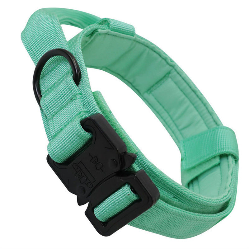 Taktisches Hundehalsband & Leine für Outdoor & Training – 8 Farben, M bis XL, auch als Set
