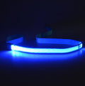 LED Hundeleine leuchtend | 120 cm Nylon | 8 Farben | Aufladbar oder Batterie