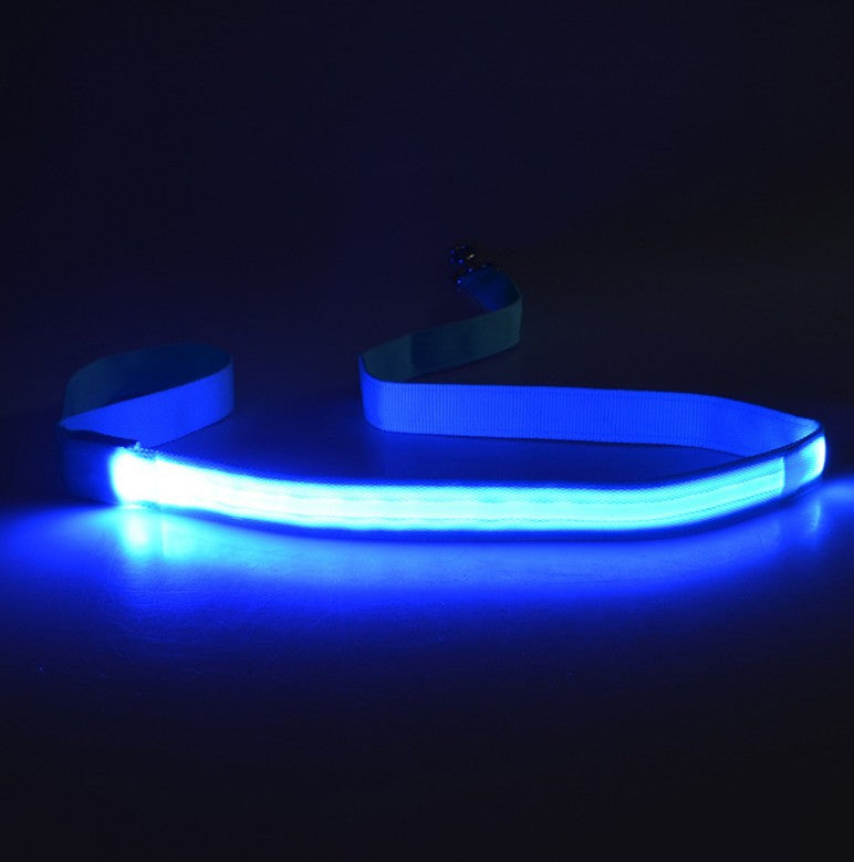 LED Hundeleine leuchtend | 120 cm Nylon | 8 Farben | Aufladbar oder Batterie