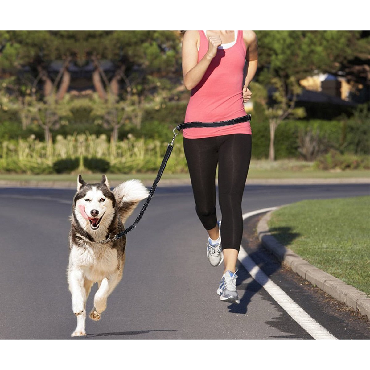 Freihändige Hundeleine – Hüftgürtel für Joggen & Spaziergang