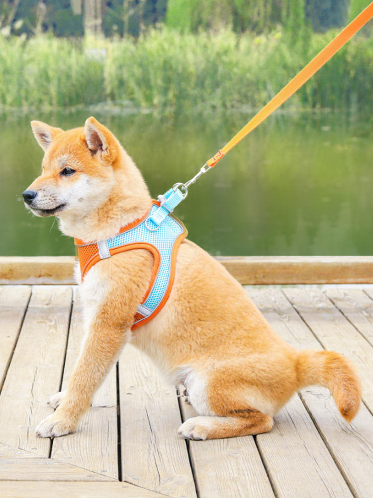 Atmungsaktives Hundegeschirr Weste – reflektierend, 7 Farben, XXXS bis L