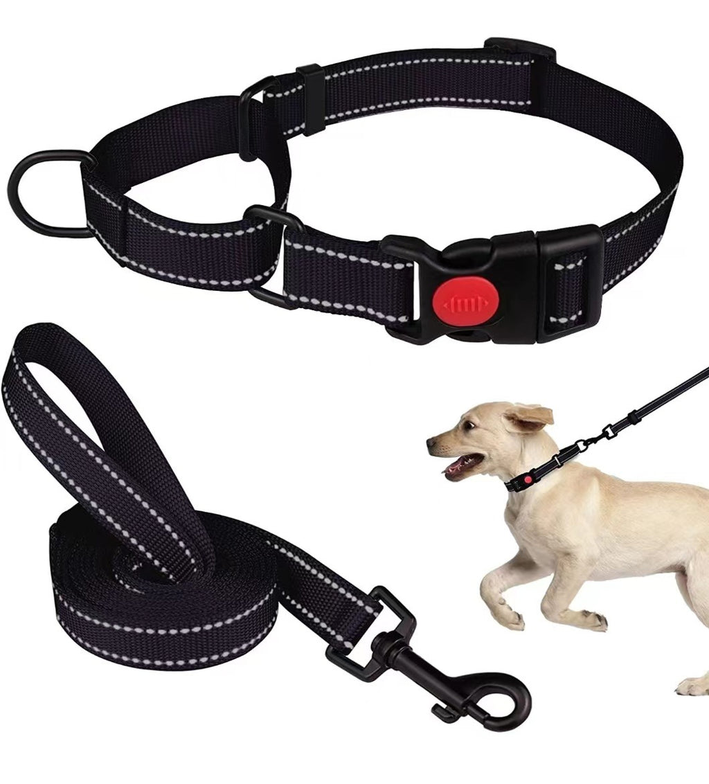 Reflektierendes Hundehalsband aus Nylon – verstellbar, mit Leine