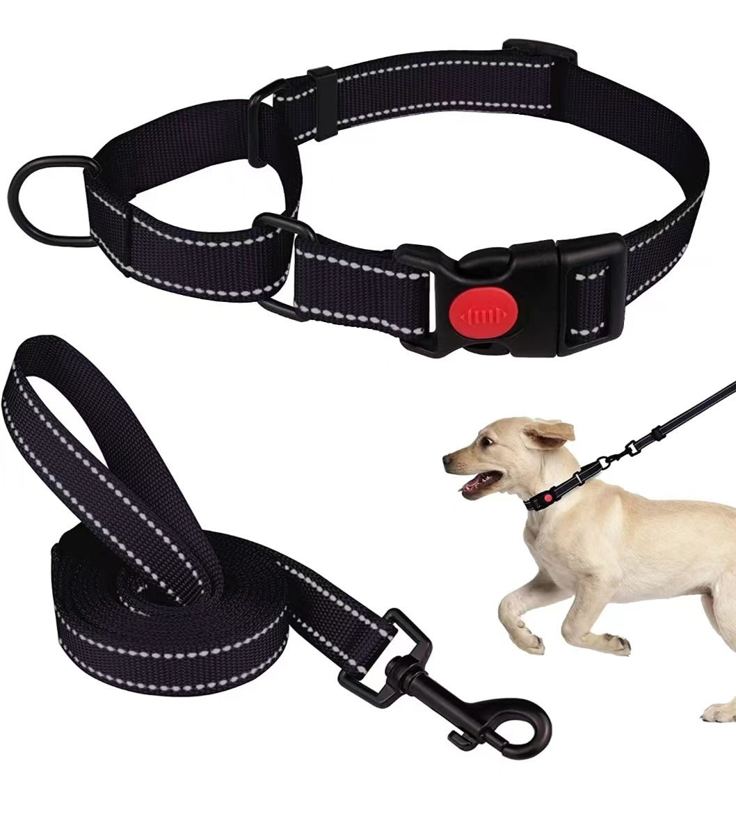 Reflektierendes Hundehalsband aus Nylon – verstellbar, mit Leine