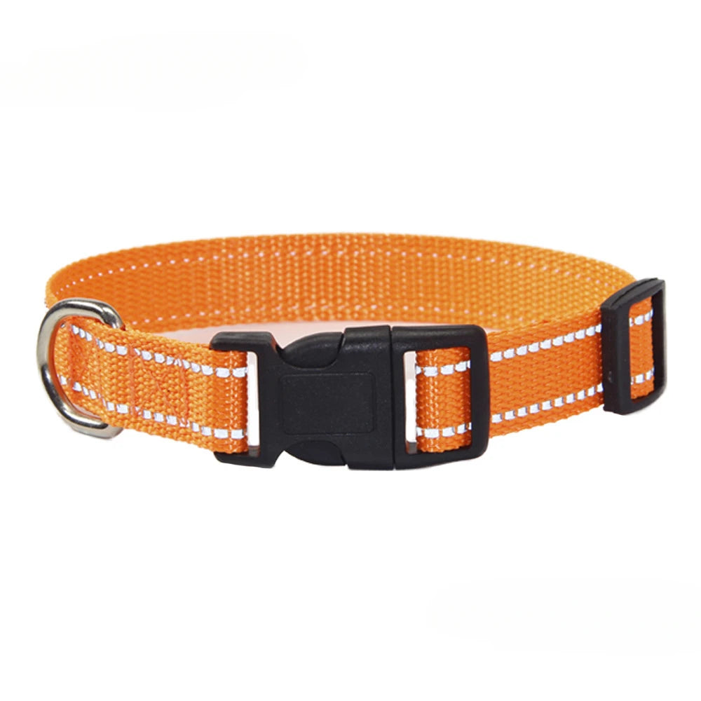 Nylon Hundehalsband & Leinenset – Verstellbar | 7 Farben & 4 Größen | XS–L