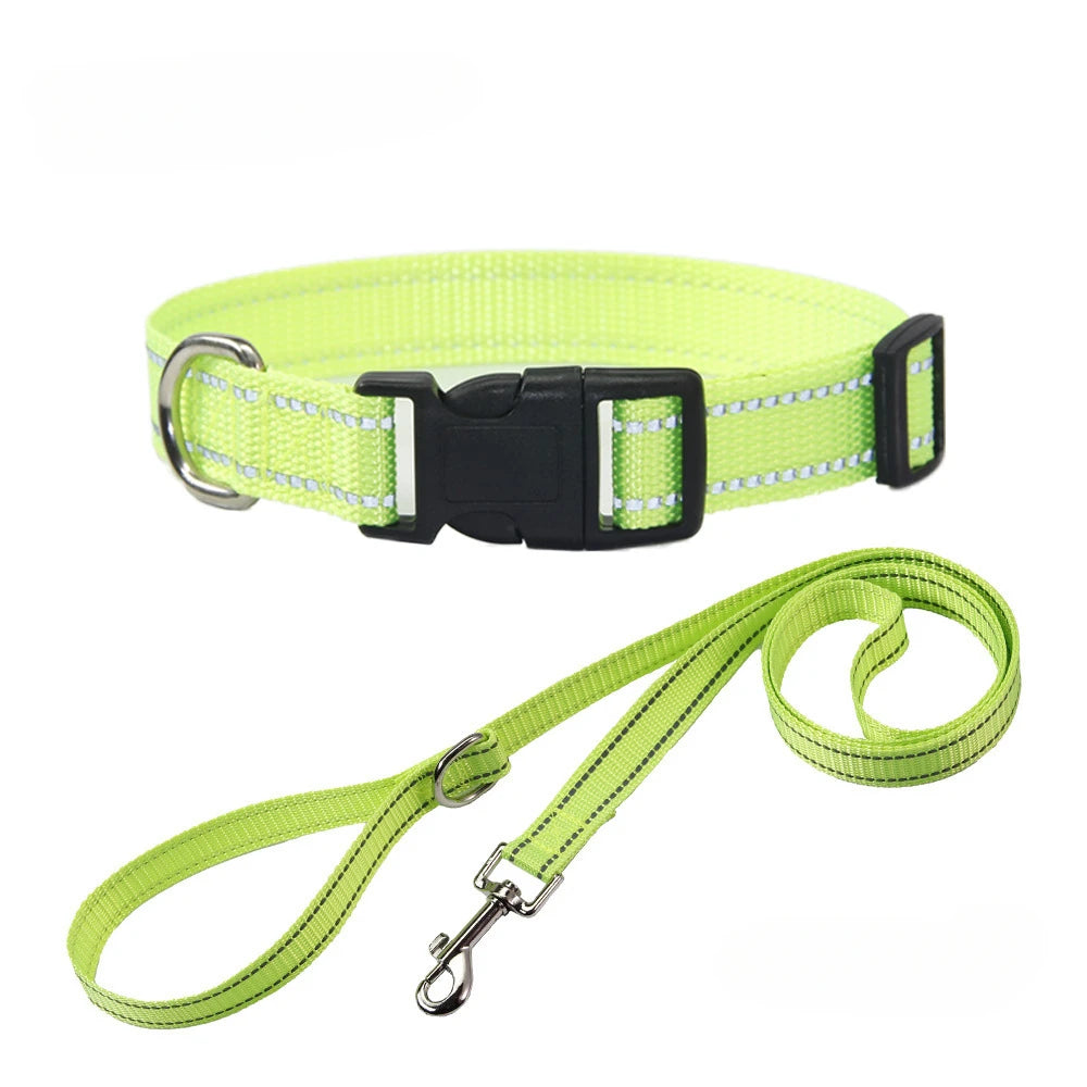 Nylon Hundehalsband & Leinenset – Verstellbar | 7 Farben & 4 Größen | XS–L