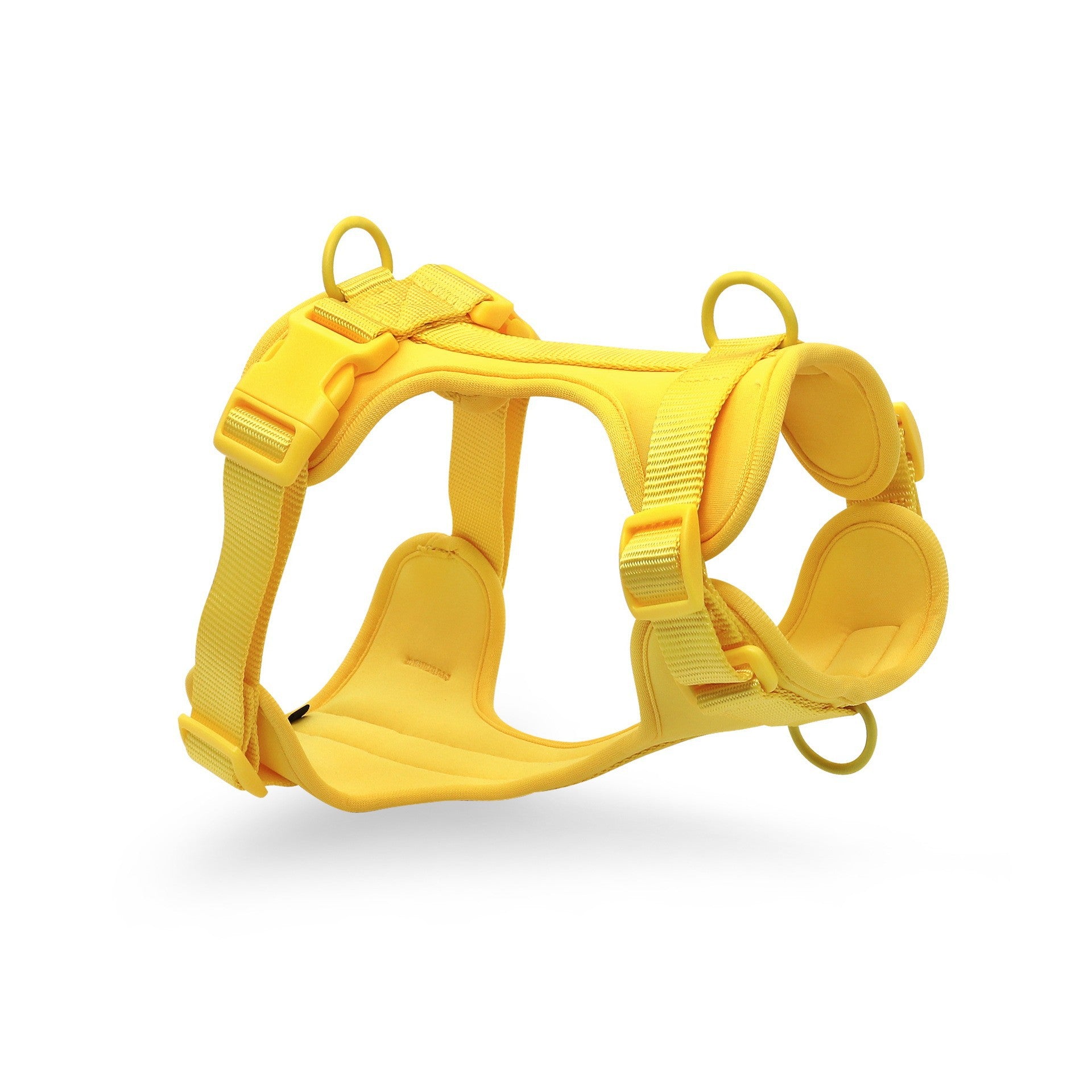 Wasserdichtes PVC Hundegeschirr Set – bissfest, 5 Farben, S/M/L, als Halsband, Leine oder Brustgeschirr