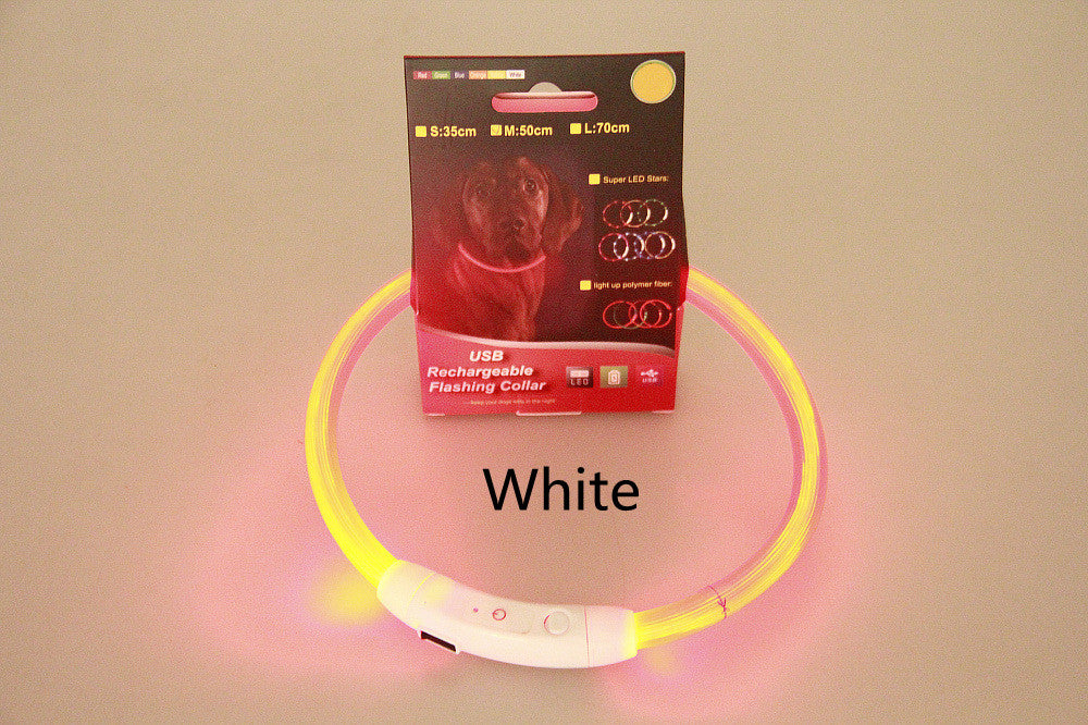LED-Leuchthalsband für Hunde – USB-aufladbar, 8 Farben, 35–70 cm