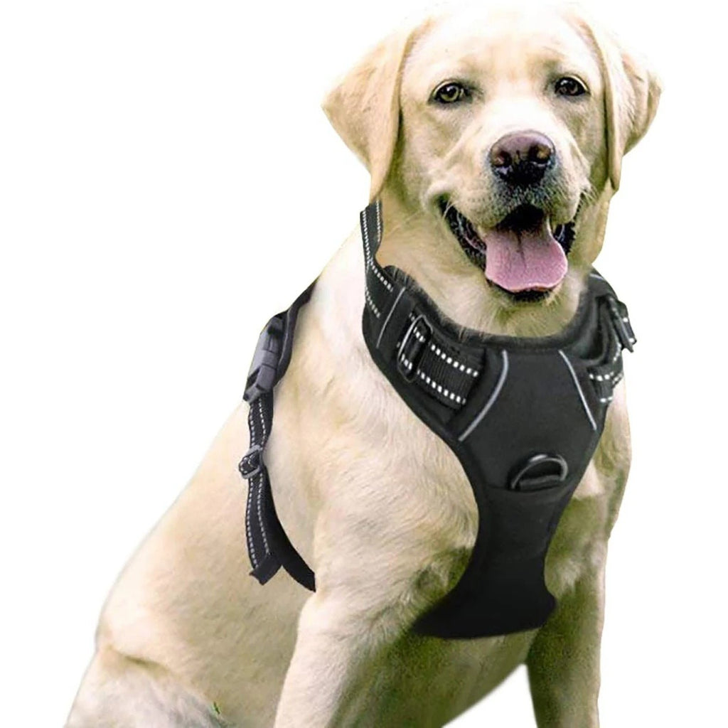 Westen-Brustgeschirr fuer Hunde - Ausbruchsichere Schnalle | Polyester | 9 Farben | S-XL | Optional mit Leine