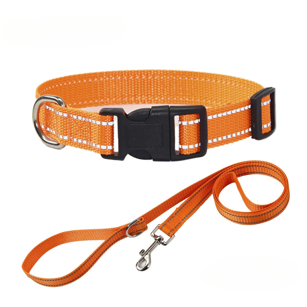 Nylon Hundehalsband & Leinenset – Verstellbar | 7 Farben & 4 Größen | XS–L