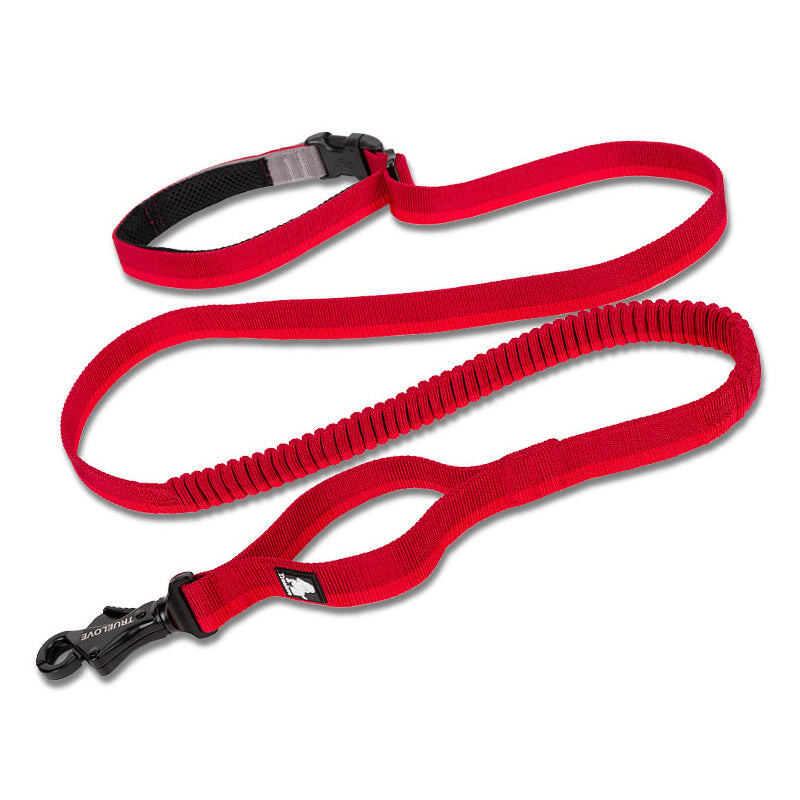 Elastische Hundeleine mit Puffer – Jogging & Hüftleine, 4 Farben, M (140–200 cm) / L (200–340 cm)