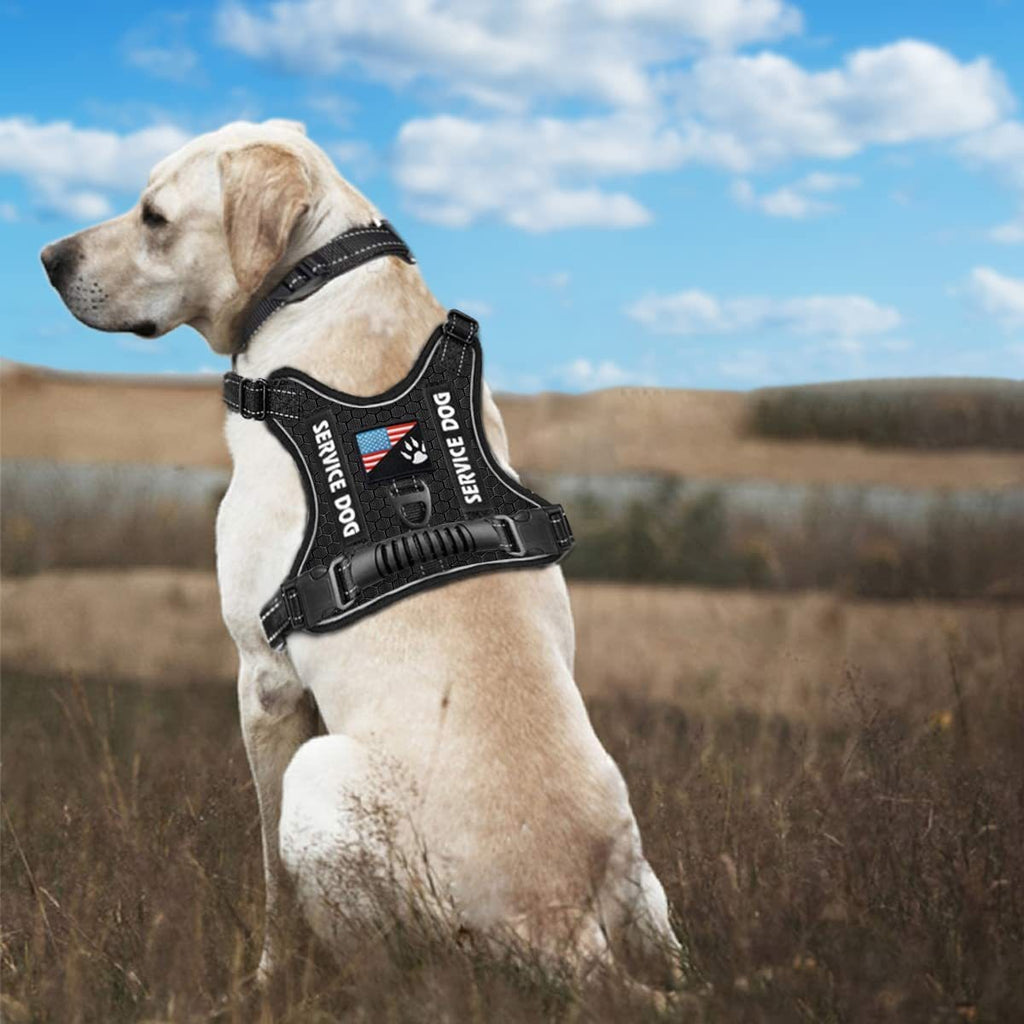 Reflektierendes Hundegeschirr mit Leine – stoßdämpfend, XS–XL