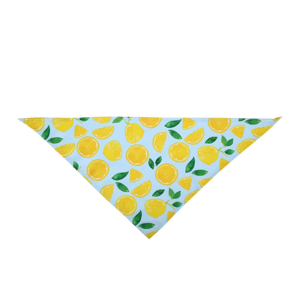 Hunde-Bandana mit Frucht-Motiv – Baumwolle, 6 Designs, 2 Größen