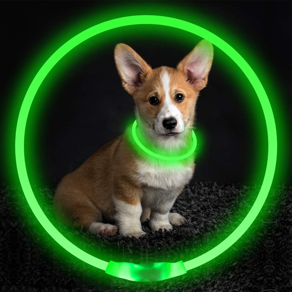 LED-Leuchthalsband für Hunde – USB-aufladbar, 8 Farben, 35–70 cm