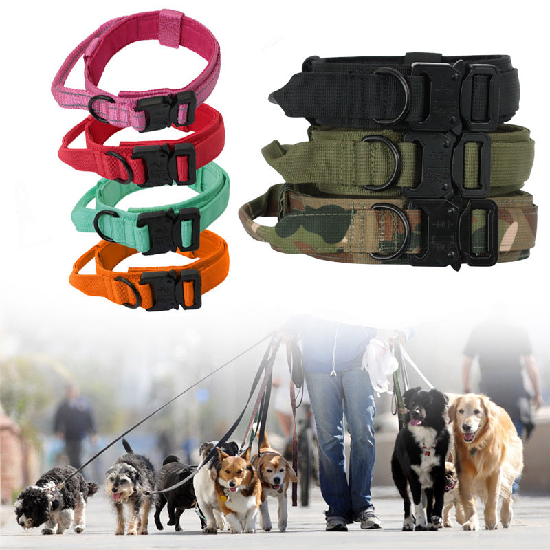 Taktisches Hundehalsband & Leine für Outdoor & Training – 8 Farben, M bis XL, auch als Set