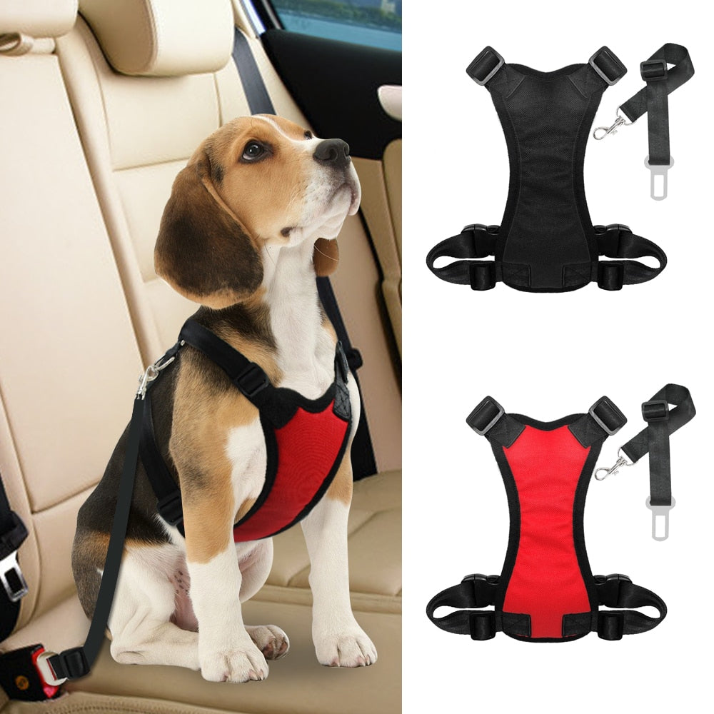 Hunde-Autogeschirr mit Sicherheitsgurt – gepolstert, S–L, Schwarz/Rot