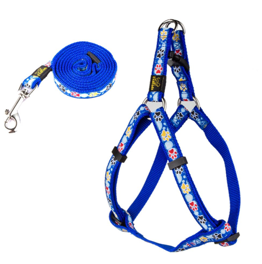 Hundehalsband & Leine Set mit Pfoten-Muster – Nylon, 3 Farben, S/M/L
