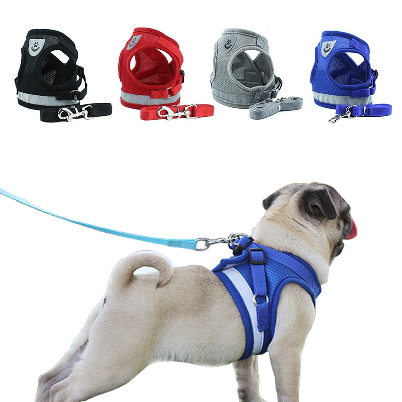 Reflektierendes Hundegeschirr & Leine Set – Sicherheitsweste, XS–XL, 4 Farben