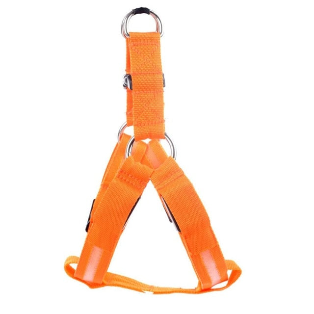 LED Hundegeschirr aus Nylon – Sicherheit bei Nacht, 3 Lichtmodi
