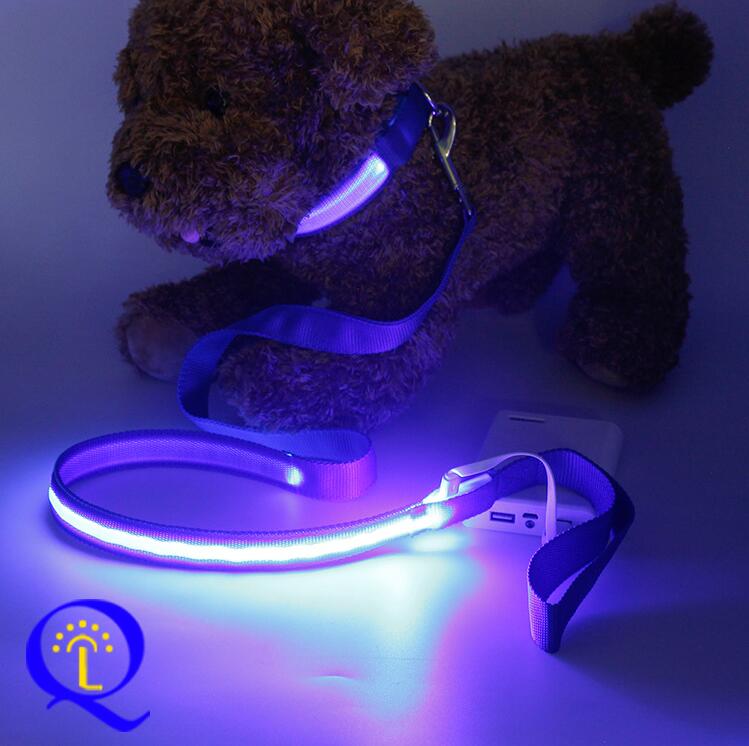LED-Hundeleine mit Doppelfaser-Licht - Nylon | 6 Farben | 3 Leuchtmodi | Sicher bei Nacht