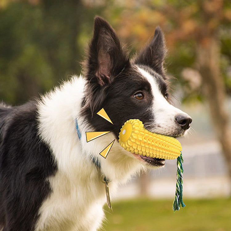 Mais-Quietschspielzeug für Hunde – TPR Zahnbürsten-Kaustab mit Sound