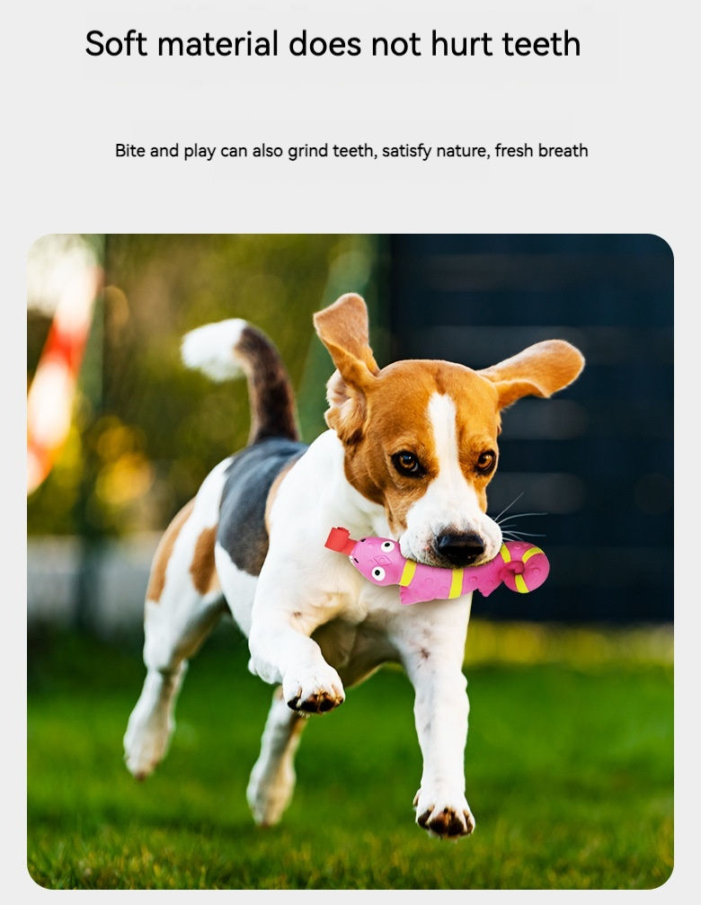 Latex-Quietschspielzeug für Hunde – Krokodil & Eidechse mit Zunge