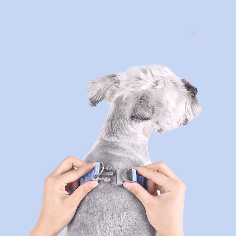 Hundegeschirr im Weste-Stil – Macaron-Farben, mit oder ohne Leine, XS–L