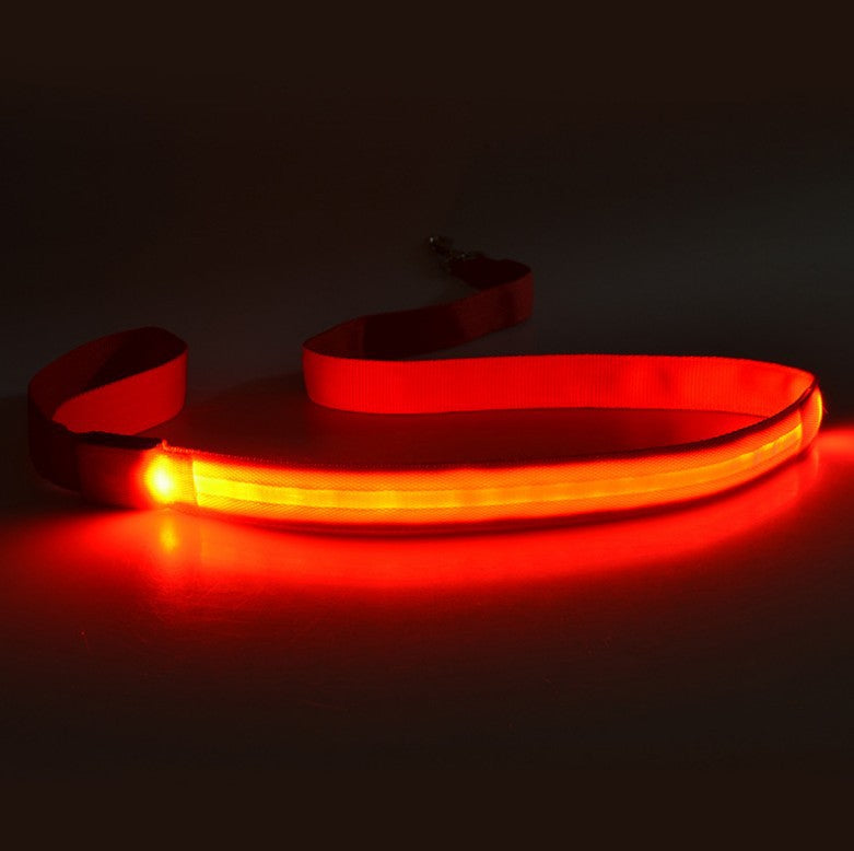 LED Hundeleine leuchtend | 120 cm Nylon | 8 Farben | Aufladbar oder Batterie