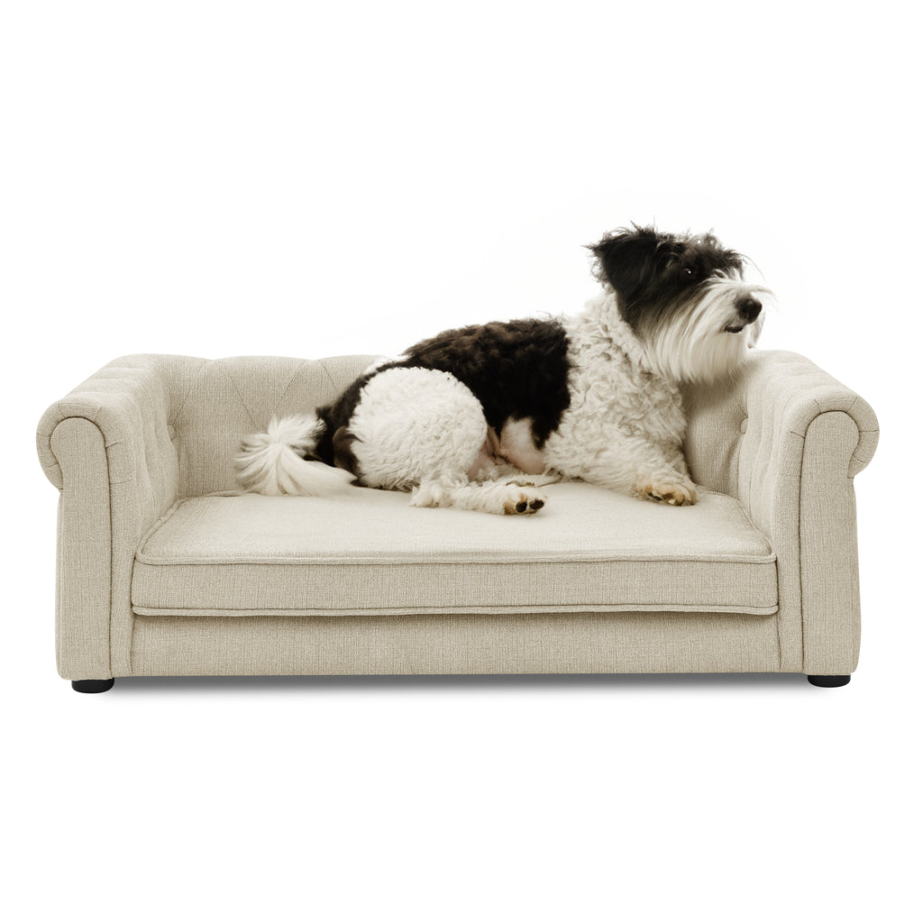Elegantes Hundesofa für mittlere & große Hunde – Schaumstoff-Couch erhöht, Beige
