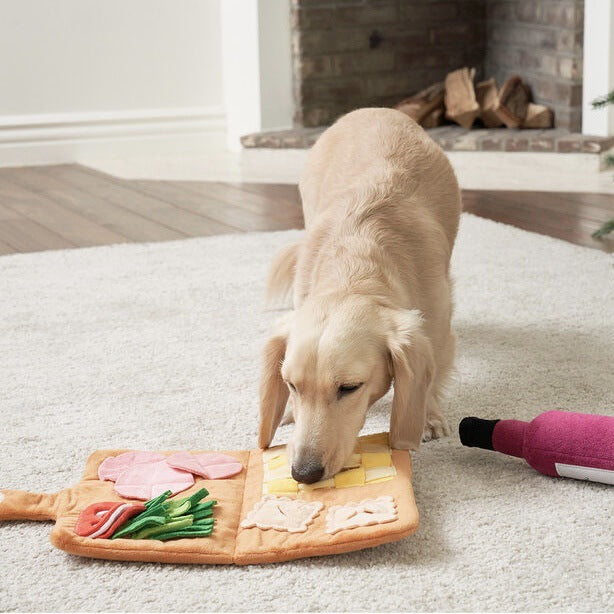 Schnüffelteppich für Hunde – Intelligenzspielzeug & Stressabbau