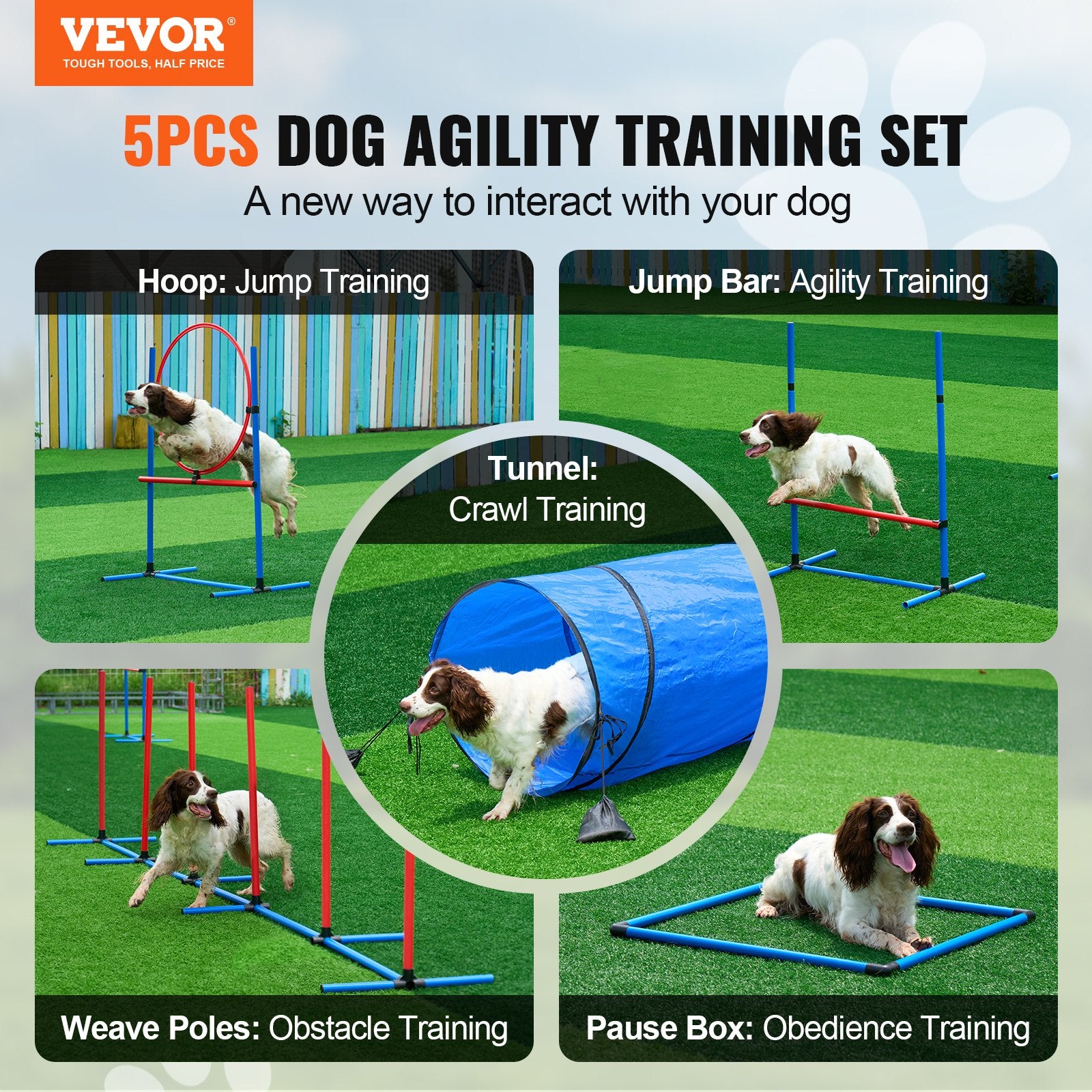 Hunde-Agility-Trainingsausrüstung 5-teiliges Set Mit Verstellbaren Hohen Hürden 6 Slalomstangen Tunnel
