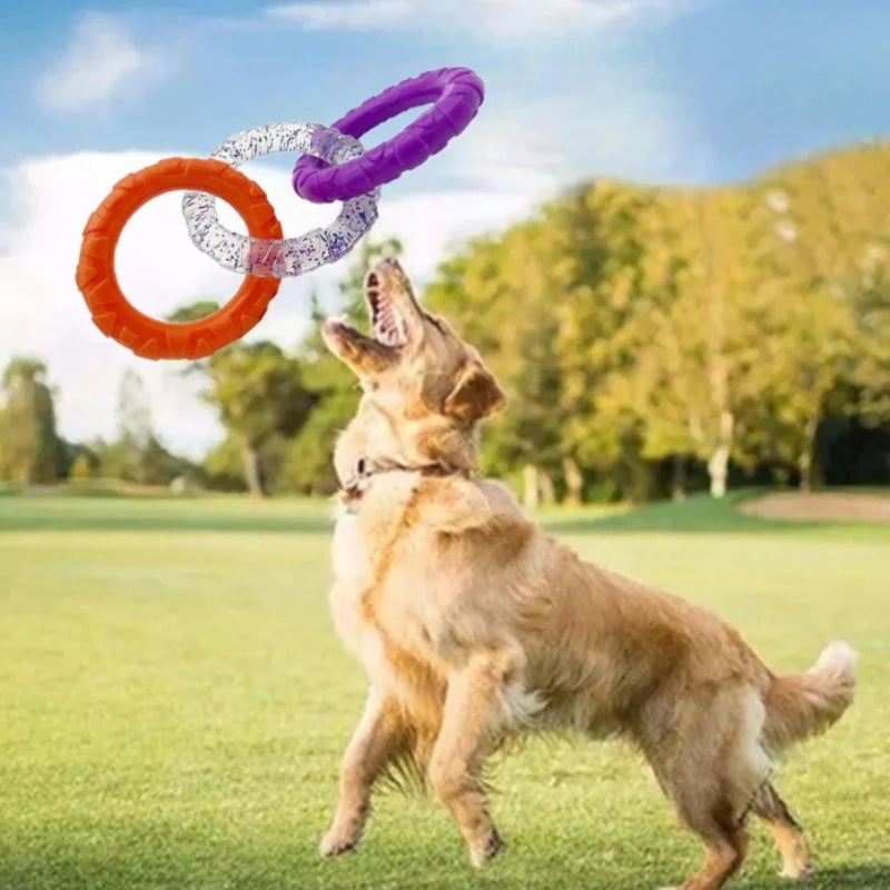 Schwimmender Frisbee-Ring für Hunde – Wasser- & Apportierspielzeug