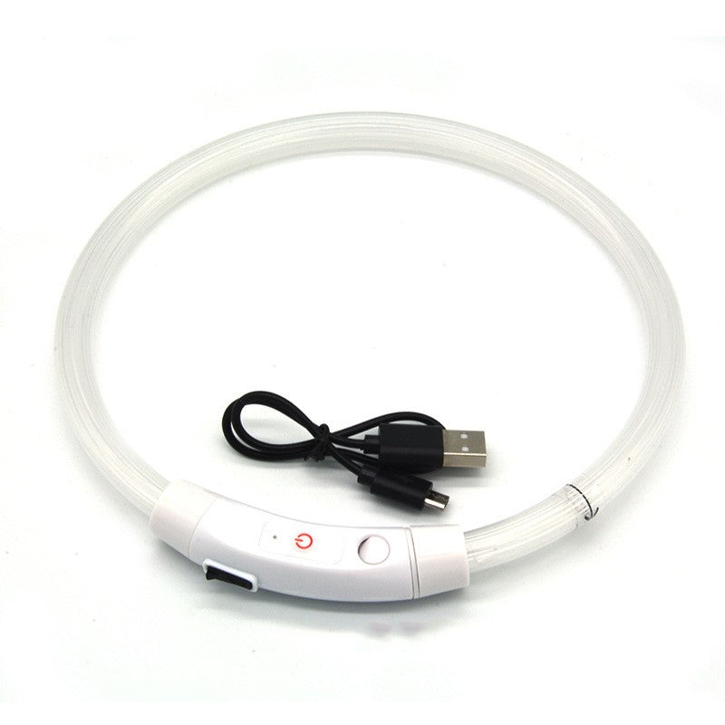 LED Leuchthalsband für Hunde – USB-aufladbar | Glasfaser oder LED-Perlen | 8 Farben | S–L