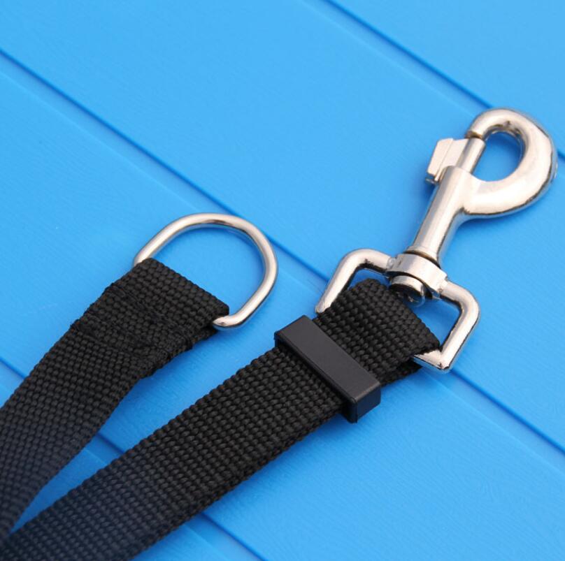Nylon-Hundeleine – 5 Längen (1,5–10m), 5 Farben, für Hunde & Katzen