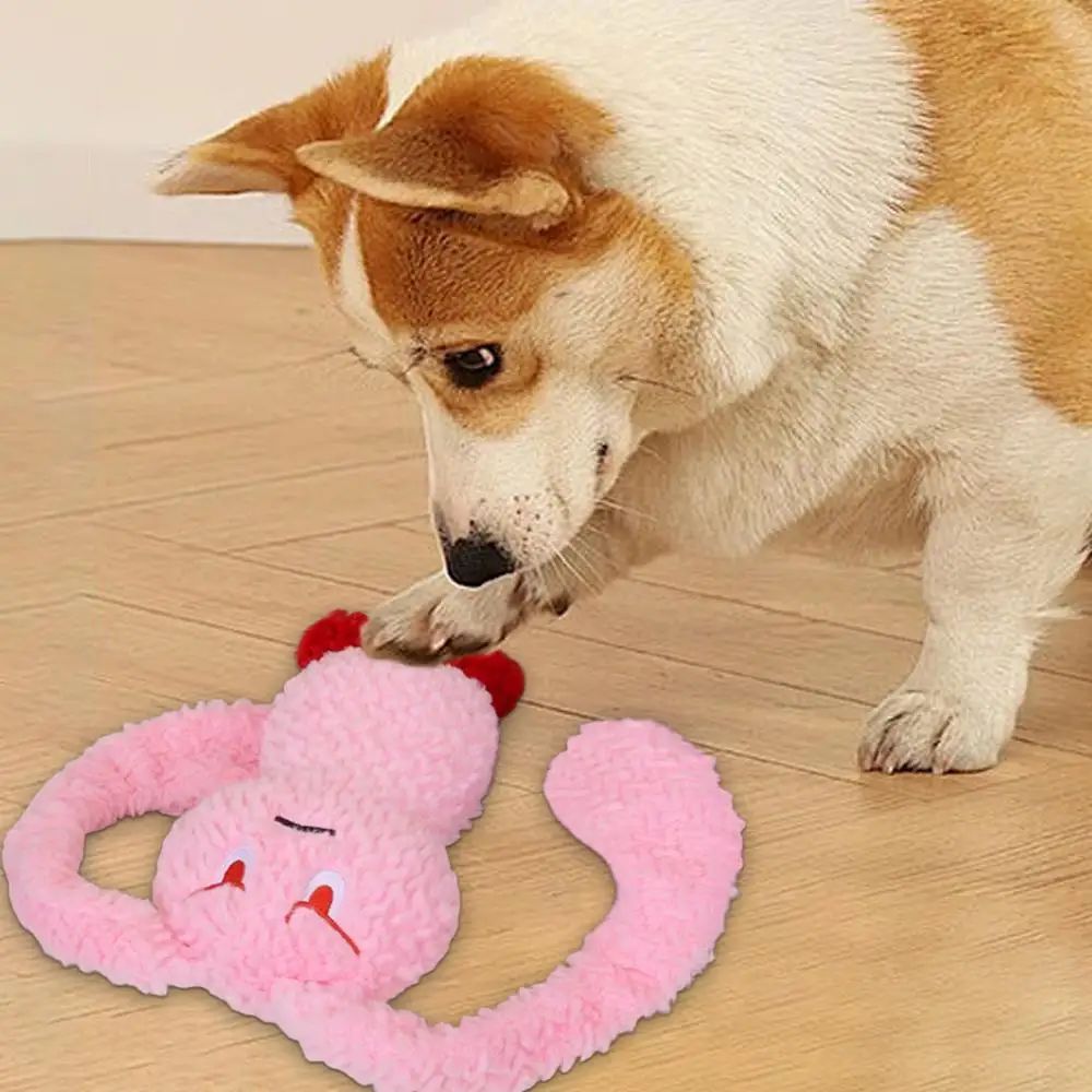 Hase Plüsch-Quietschspielzeug für Hunde – Weiches Kauspielzeug für Welpen & kleine Hunde