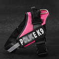 Personalisiertes Hundegeschirr No-Pull – Reflektierend, Atmungsaktiv, mit Namens-Patch, XS–2XL