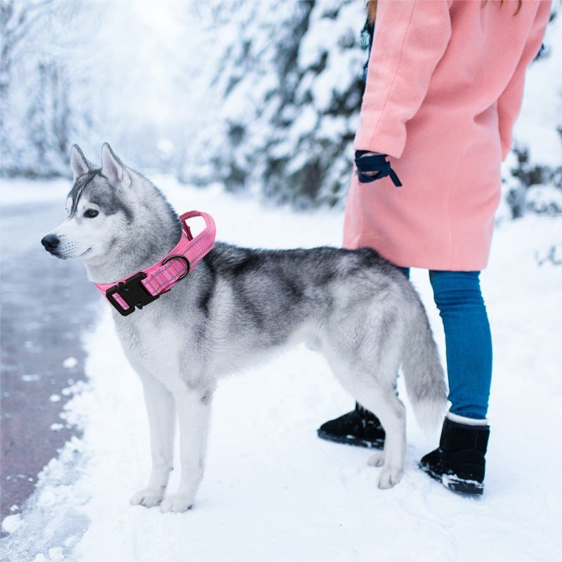 Taktisches Hundehalsband & Leine für Outdoor & Training – 8 Farben, M bis XL, auch als Set