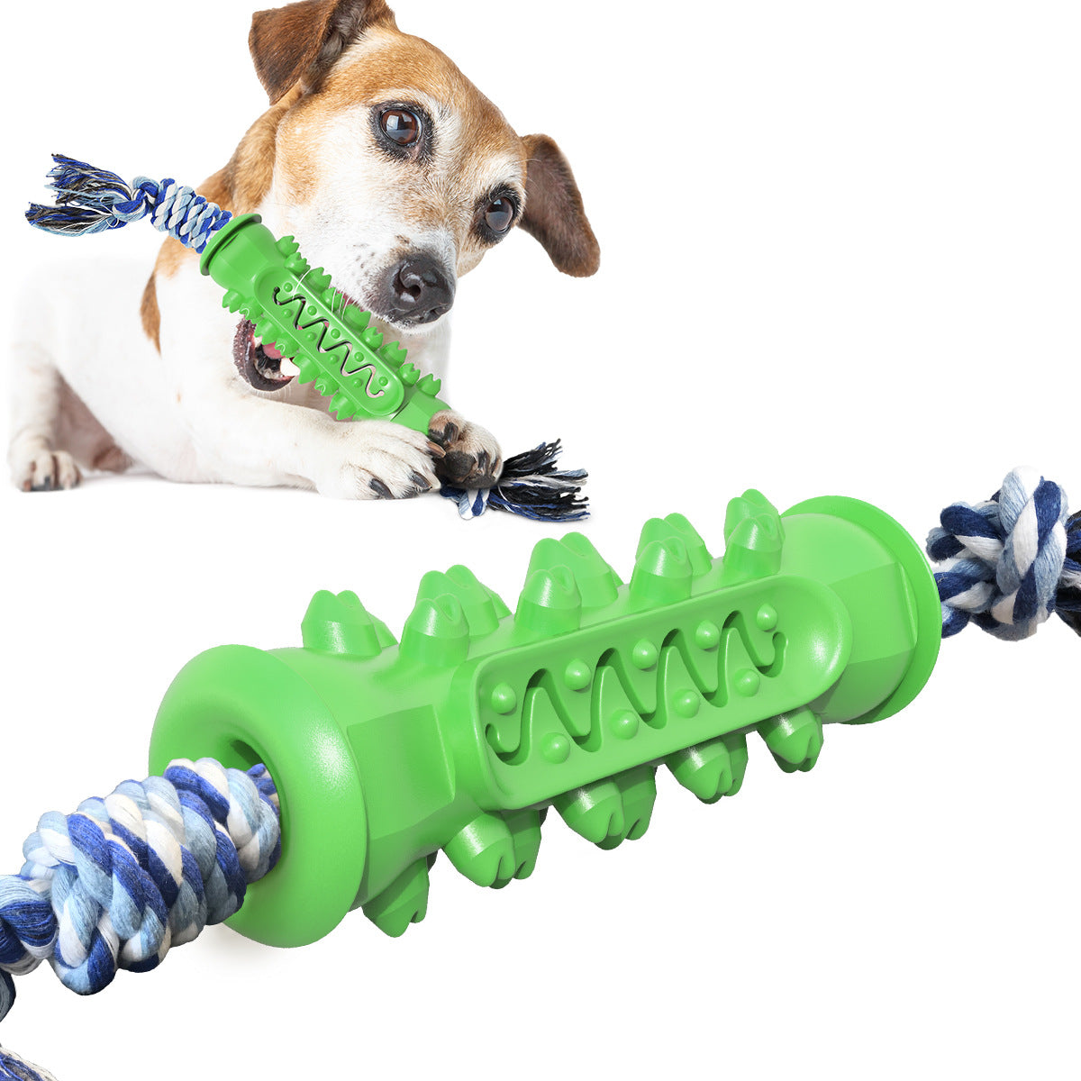 Kaustab mit Seil fuer Hunde - TPR | Bissfest | Zahnpflege | 3 Farben | Molarstick