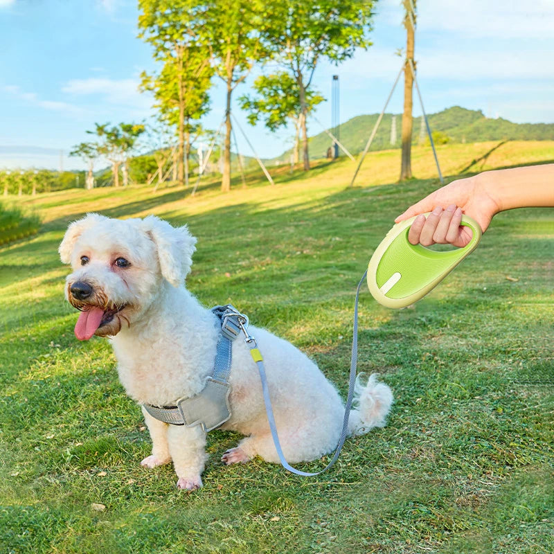 Einziehbare Hundeleine 3m – für kleine Hunde & Katzen, ABS+Nylon