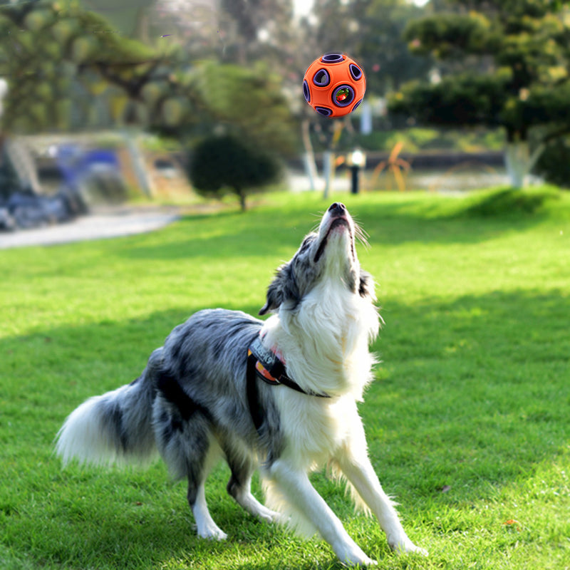 Interaktiver Gummiball für Hunde – Leckerli-Spielzeug in 3 Varianten & 2 Größen
