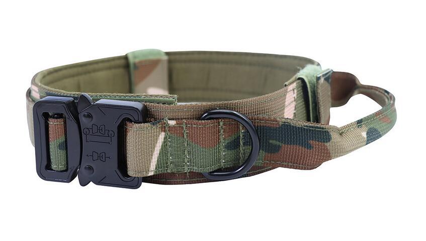 Taktisches Hundehalsband & Leine für Outdoor & Training – 8 Farben, M bis XL, auch als Set