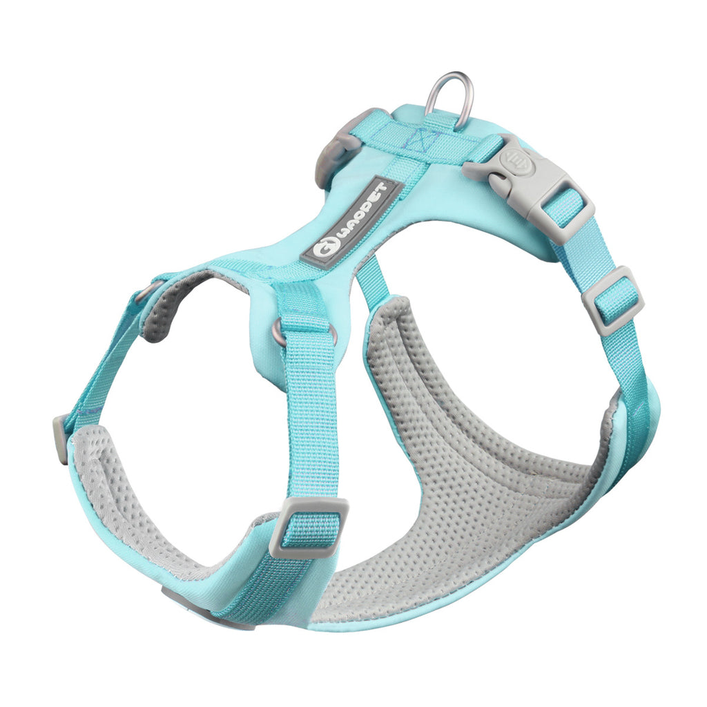 Hundegeschirr Set mit Leine – Atmungsaktiv, Reflektierend, Verstellbar, XS–L