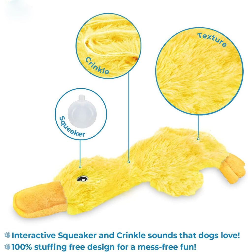 Plüsch-Ente Hundespielzeug – Quietscher & Kauspielzeug | 20 cm (8 Zoll)