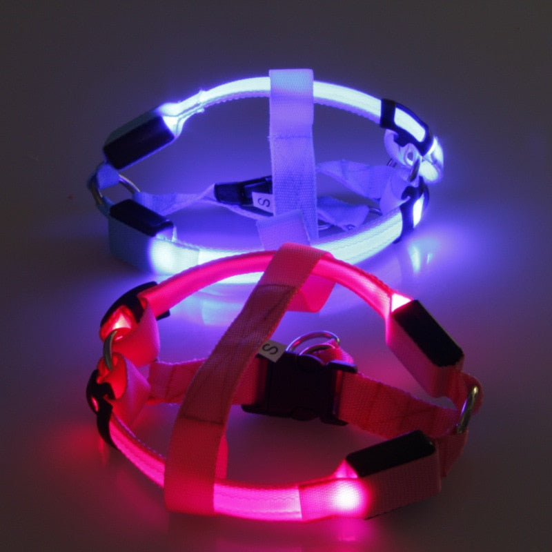 LED Hundegeschirr aus Nylon – Sicherheit bei Nacht, 3 Lichtmodi